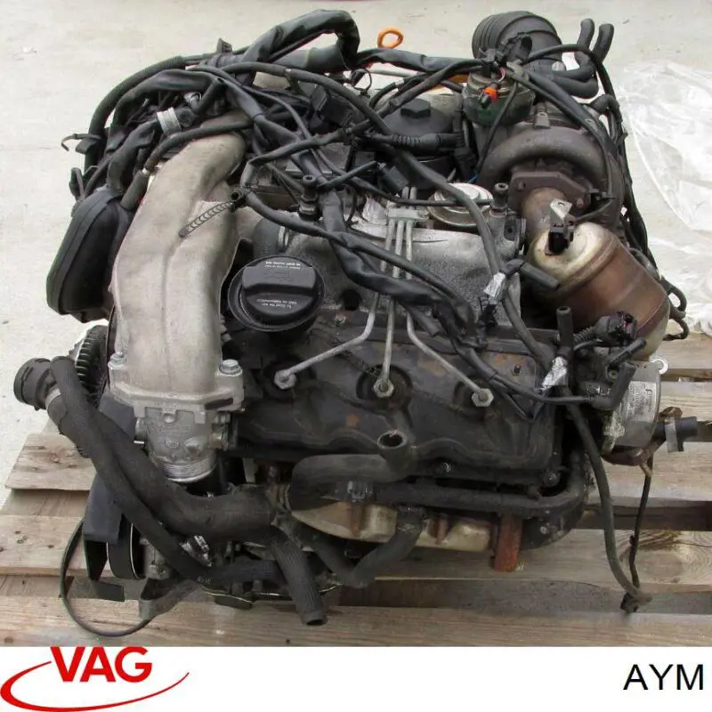 AYM VAG Motor montado