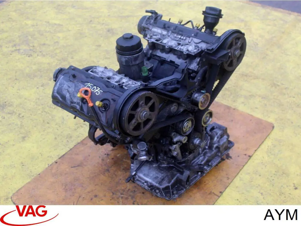 Compre AYM VAG Motor montado