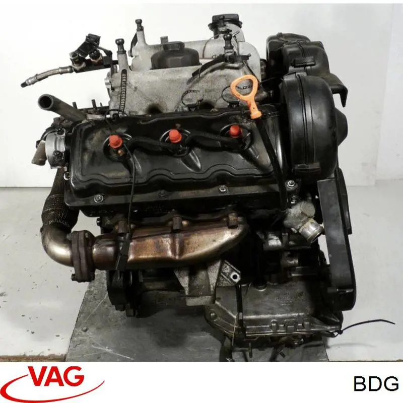 BDG VAG Motor montado