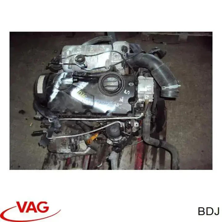 BDJ VAG Motor montado