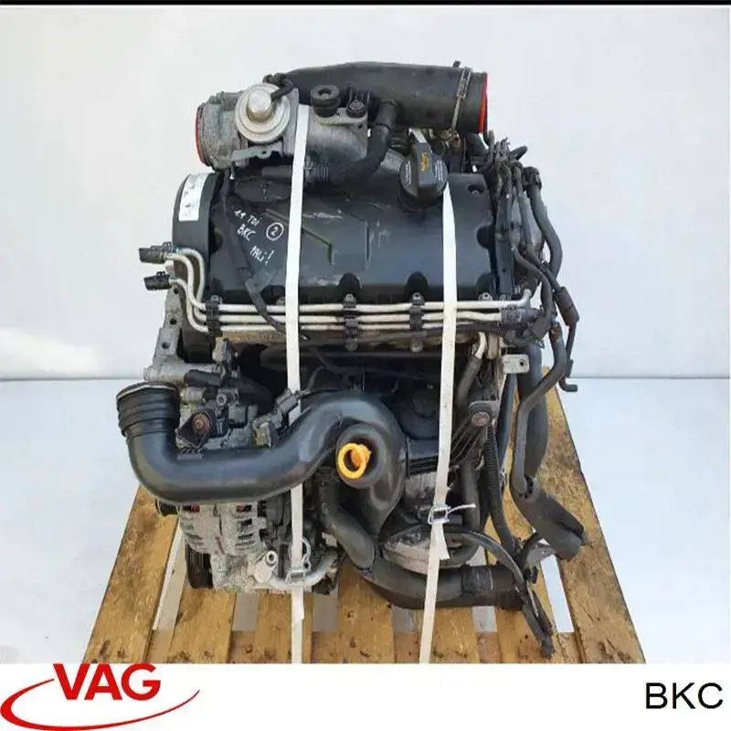 BKC VAG Motor montado