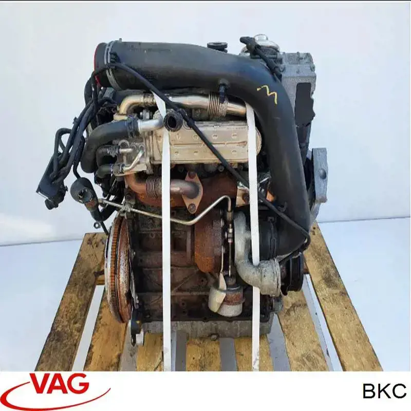 Motor montado VAG BKC preço, a partir de 1510,18 USD