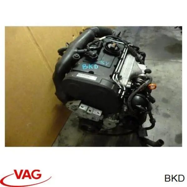 Motor montado VAG BKD preço, a partir de 1270,11 USD