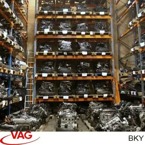 BKY VAG Motor montado