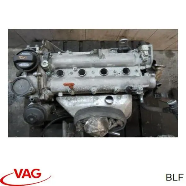Motor montado VAG BLF preço, a partir de 1271,94 USD