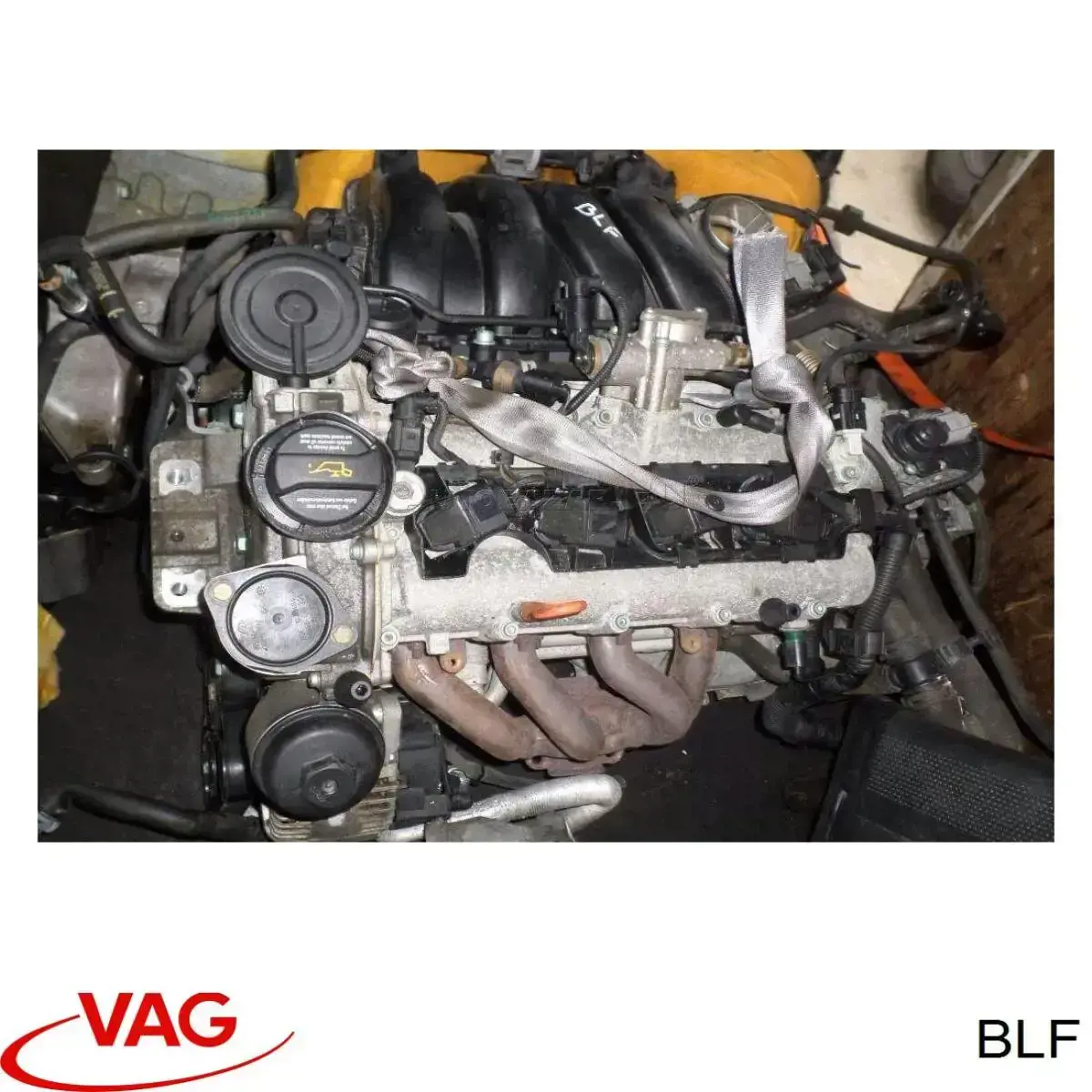 BLF VAG Motor montado