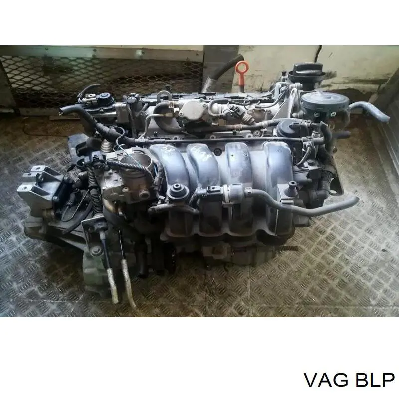 BLP VAG Motor montado
