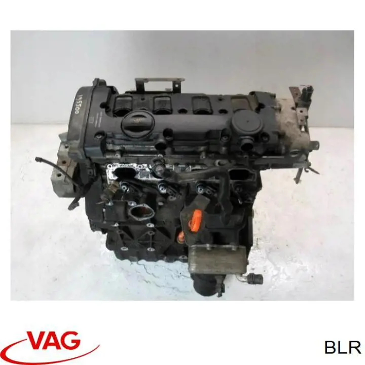 BLR VAG Motor montado