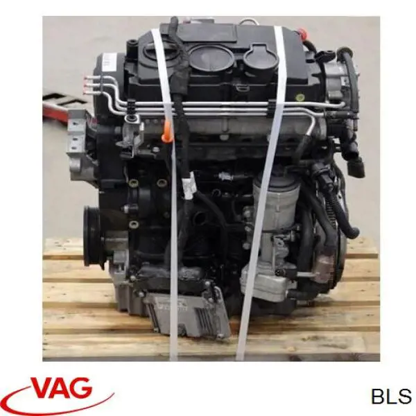 BLS VAG Motor montado