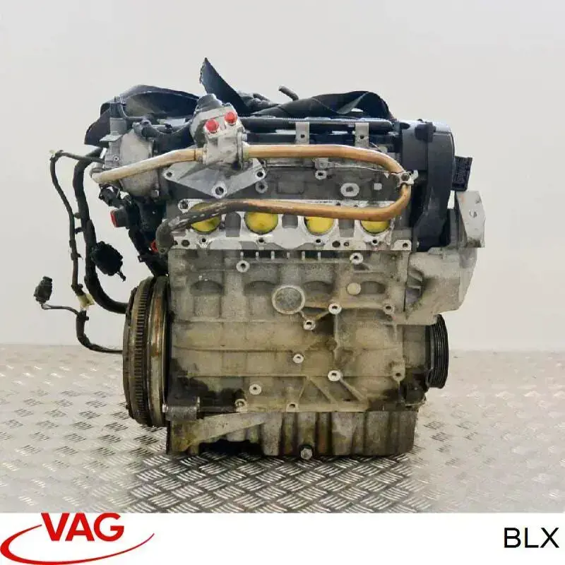BLX VAG Motor montado