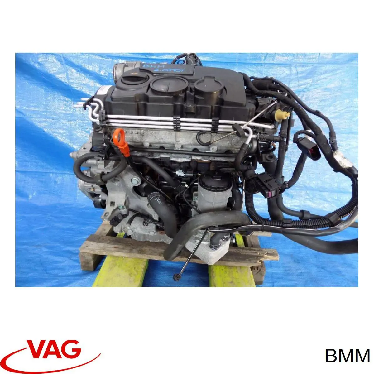 BMM VAG Motor montado