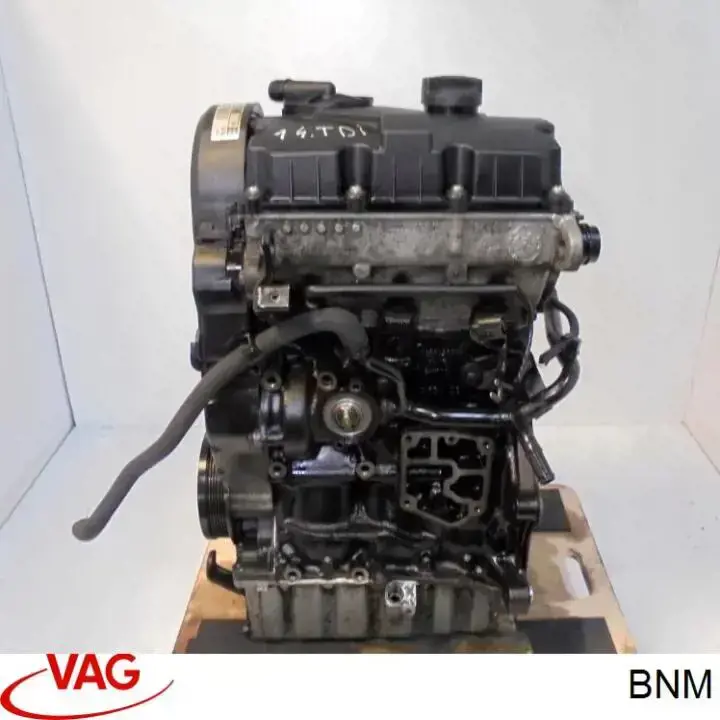BNM VAG Motor montado
