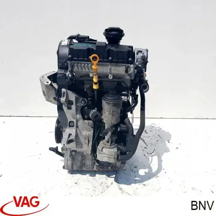 BNV VAG Motor montado