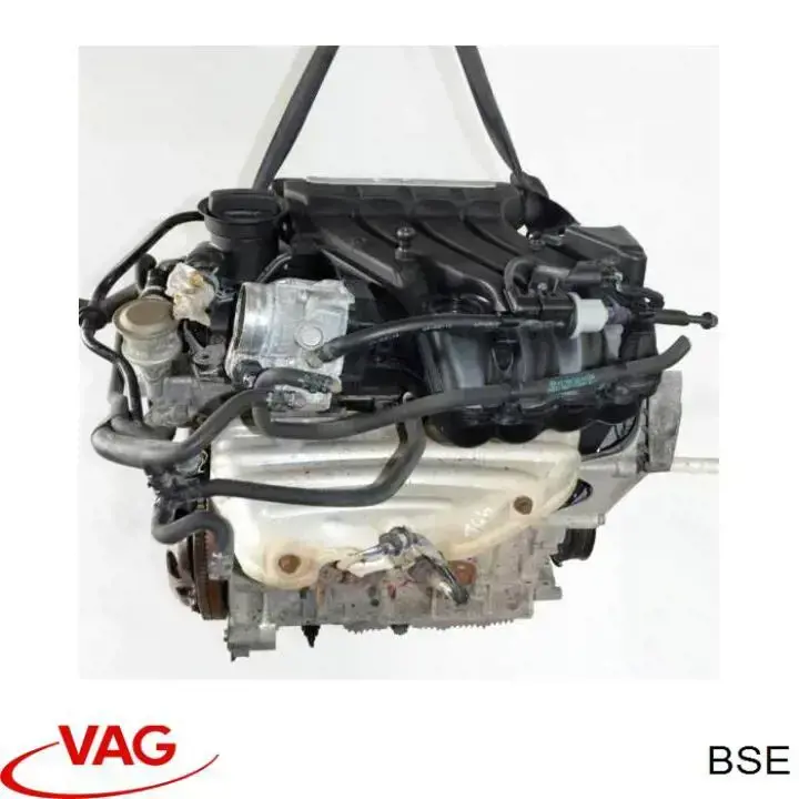 BSE VAG Motor montado
