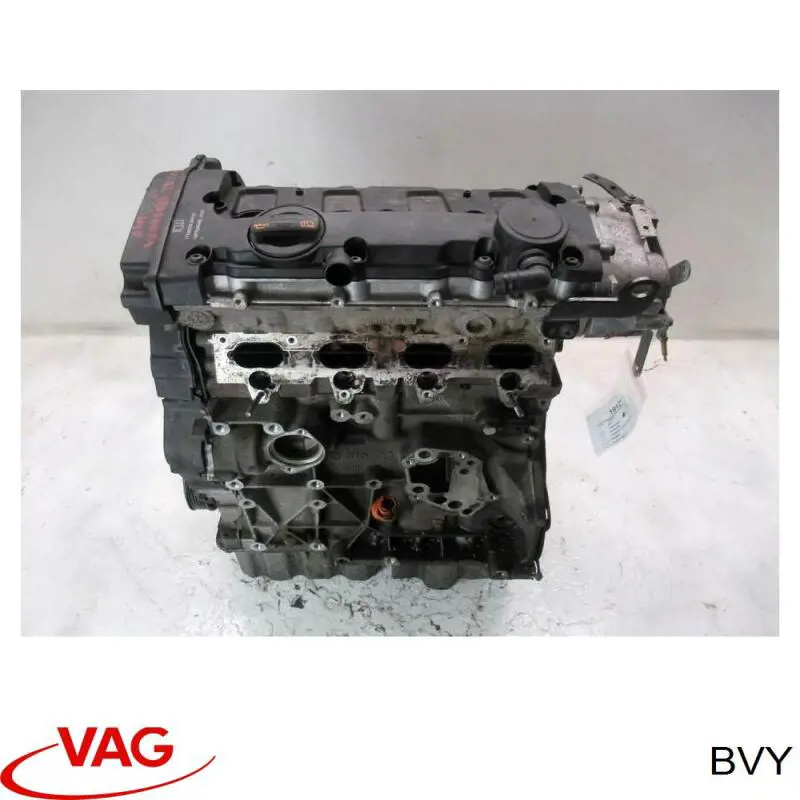 BVY VAG Motor montado