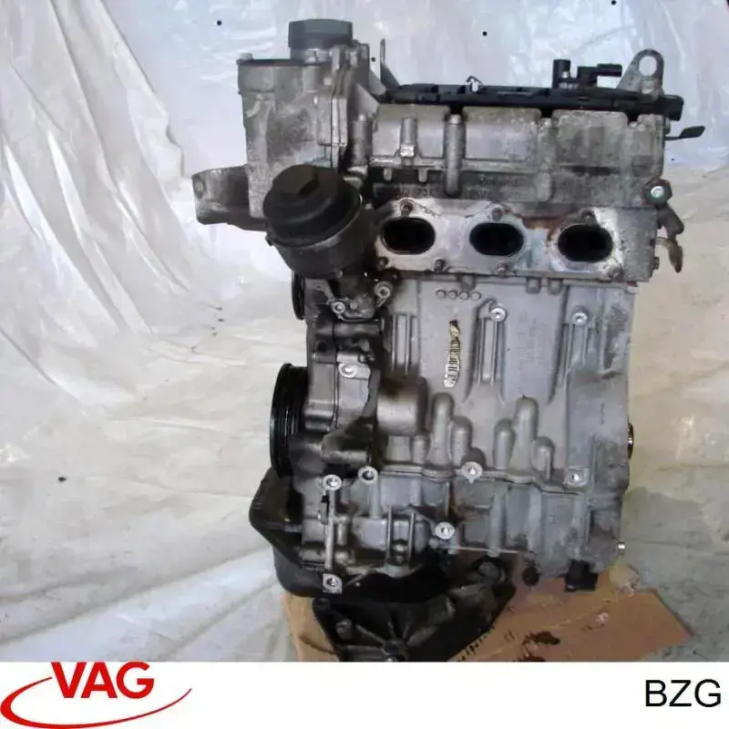 BZG VAG Motor montado