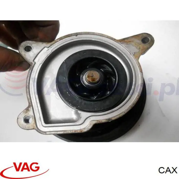 CAX VAG 