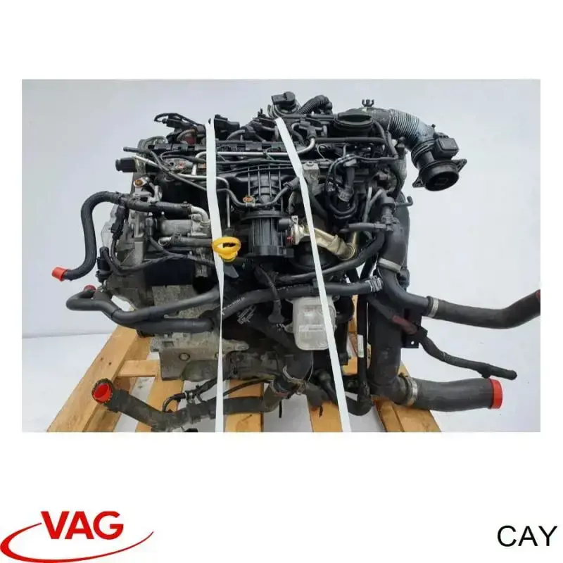 Compre CAY VAG Motor montado