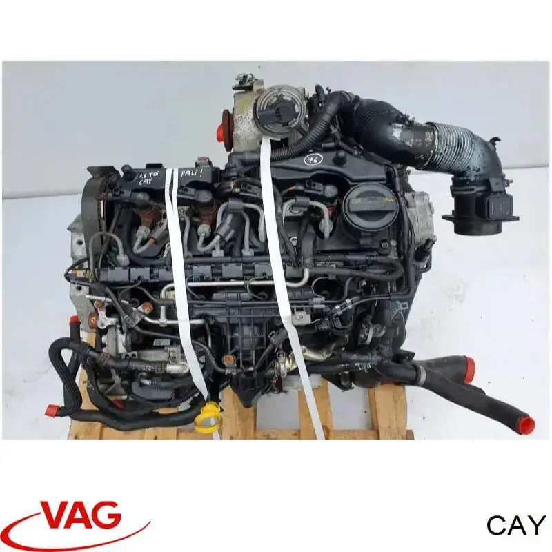 CAY VAG Motor montado