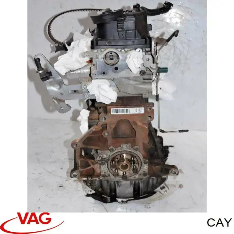 Motor montado VAG CAY