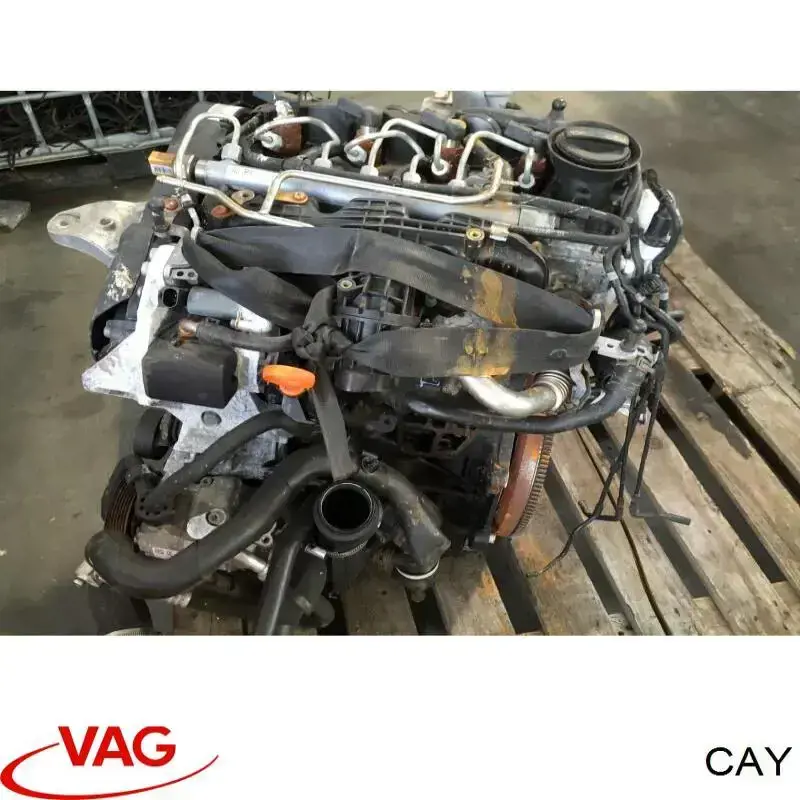 CAY VAG Motor montado