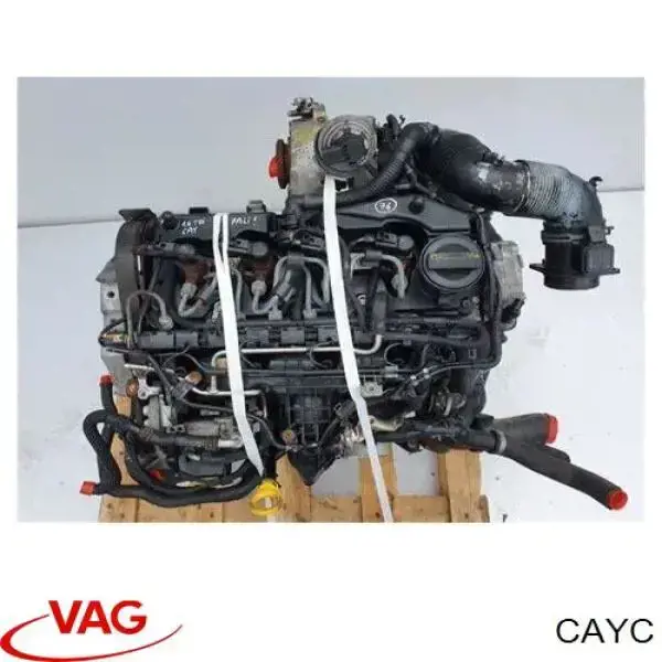 CAYC VAG Motor montado