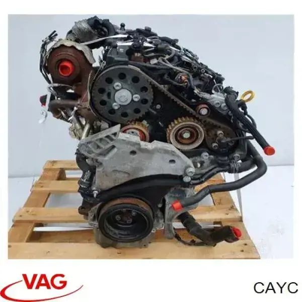 Compre CAYC VAG Motor montado