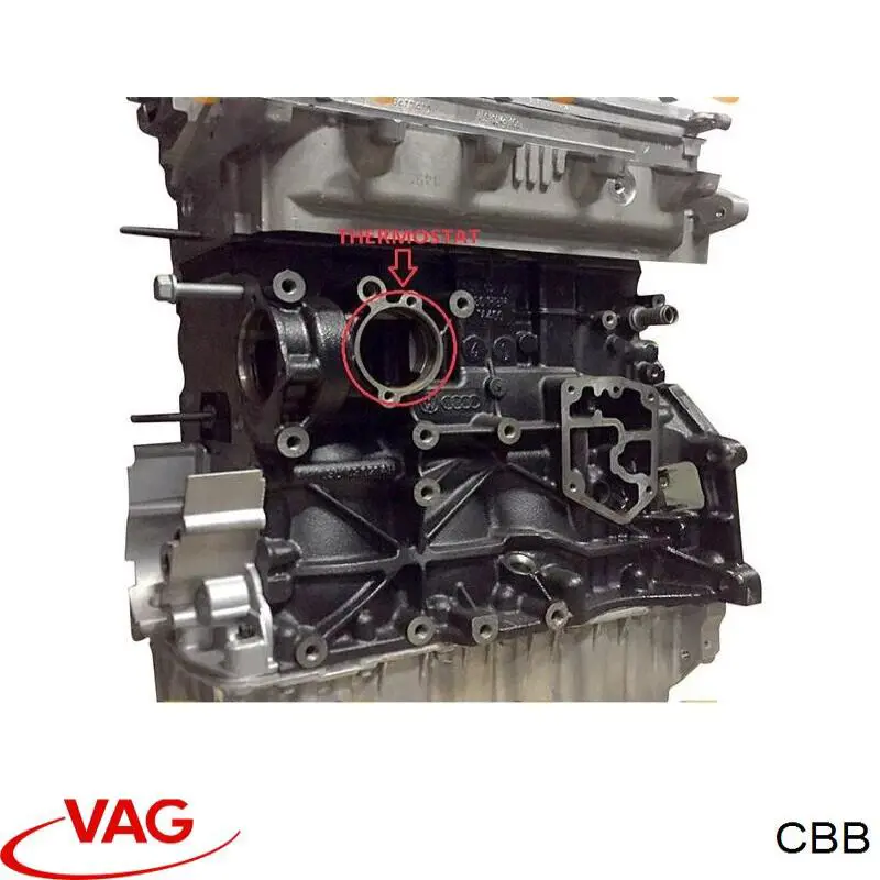 03L100033NX VAG Motor montado