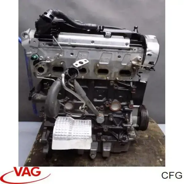 CFG VAG Motor montado