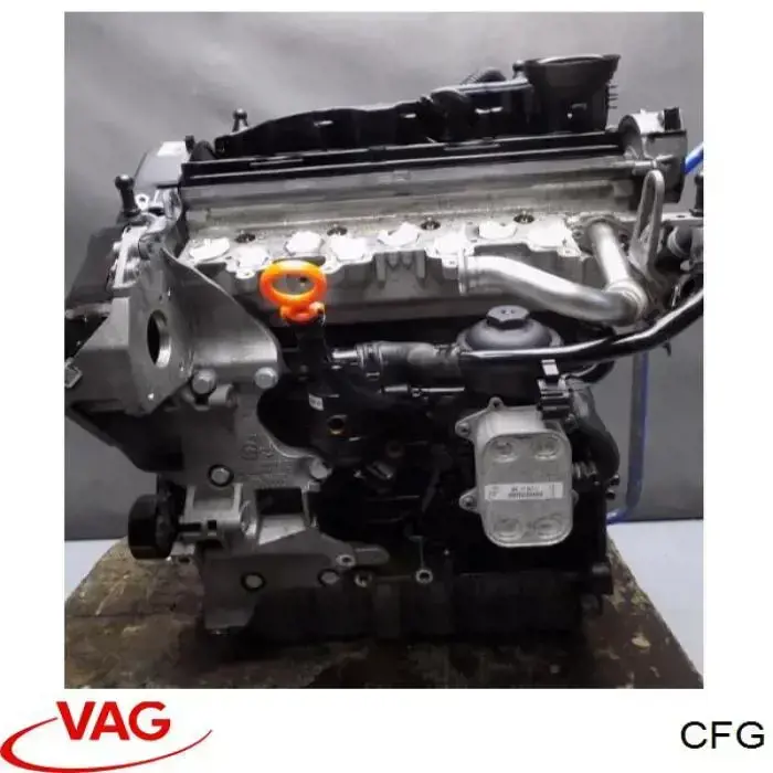 CFG VAG Motor montado