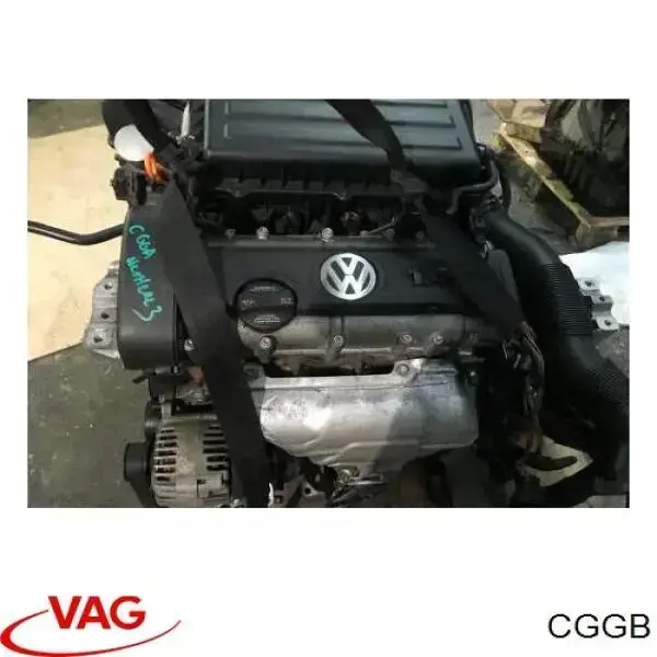 CGGB VAG Motor montado