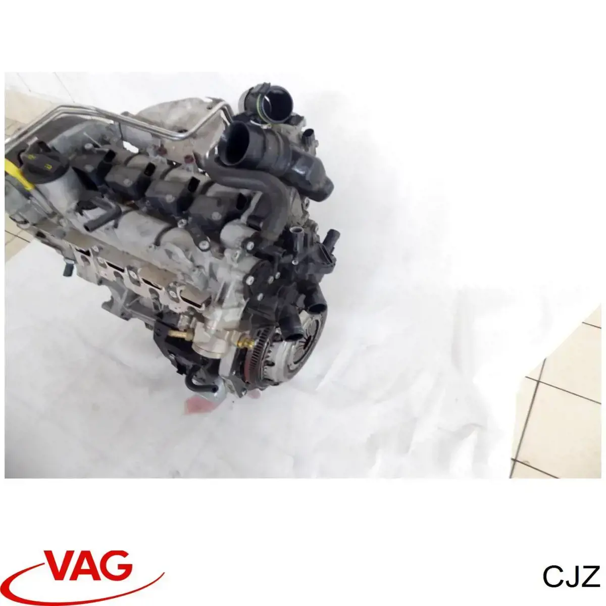 CJZ VAG Motor montado