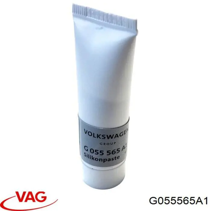G055565A1 VAG 