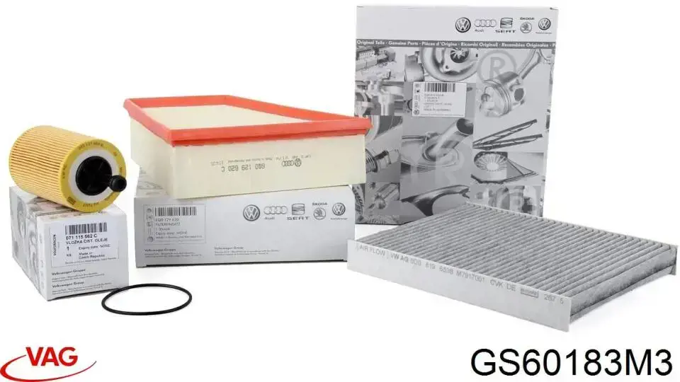 Óleo para motor GS60183M3 VAG