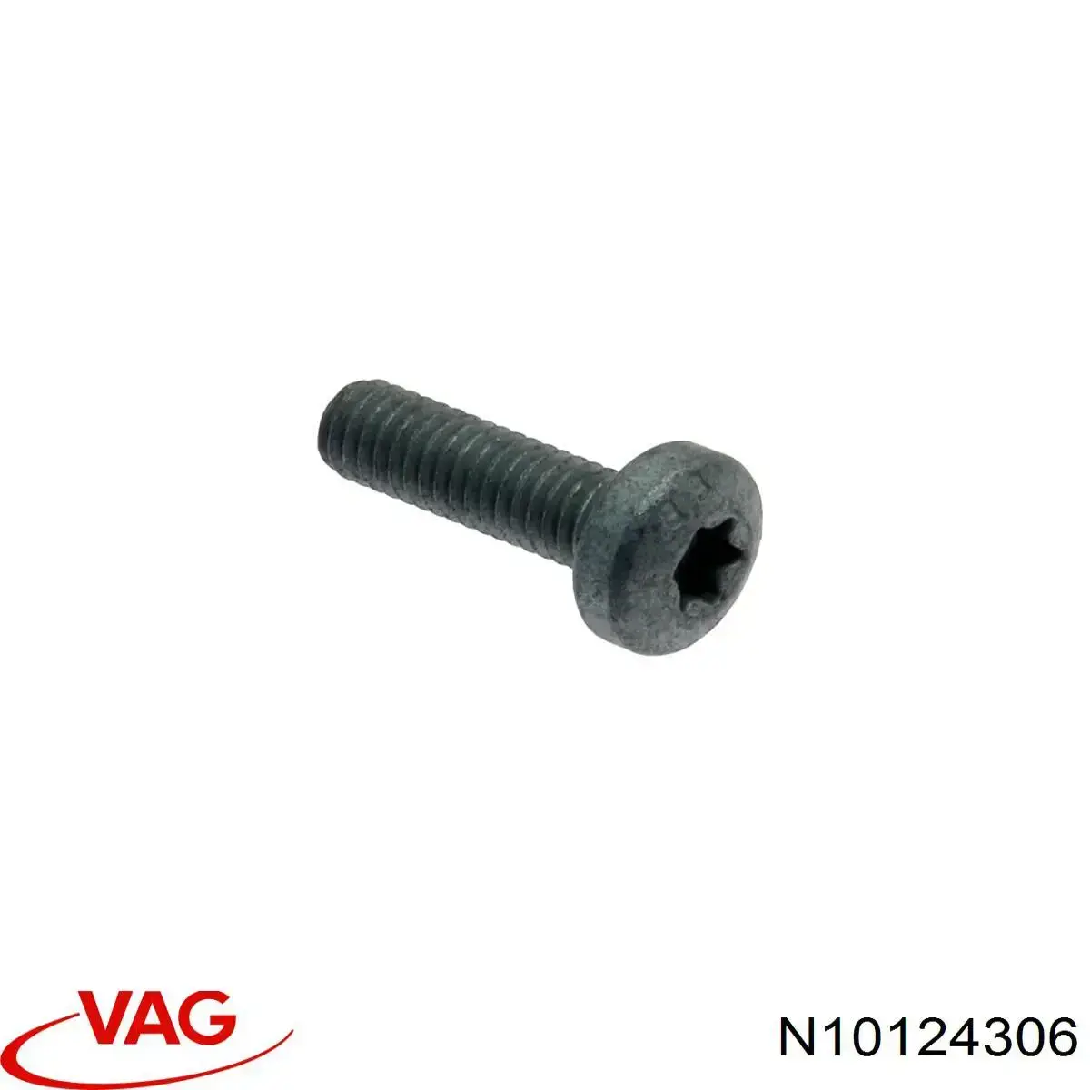 N10124303 VAG Parafuso