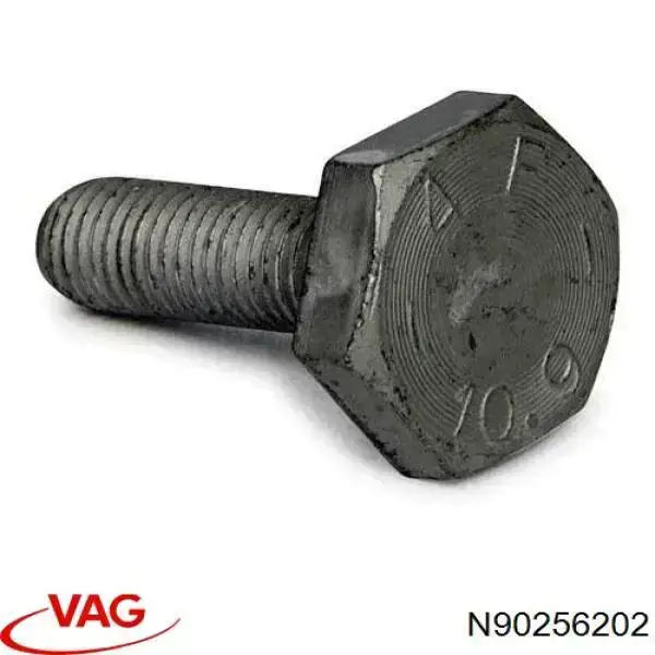 Parafuso da engrenagem da árvore distribuidora VAG N90256202 preço, a partir de 3,47 USD