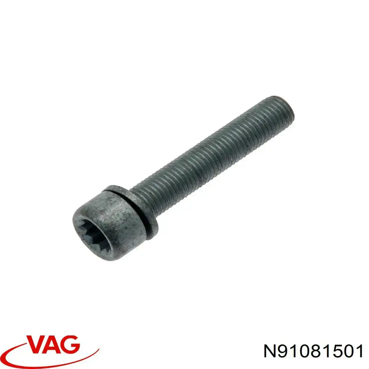 N91081501 VAG Parafuso do freio de suporte