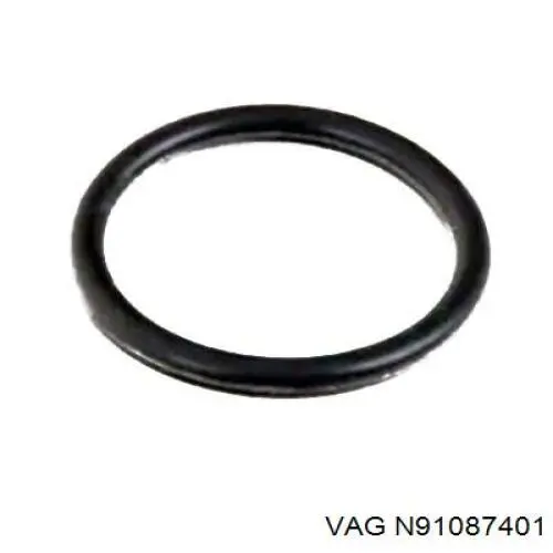 N91087401 VAG 