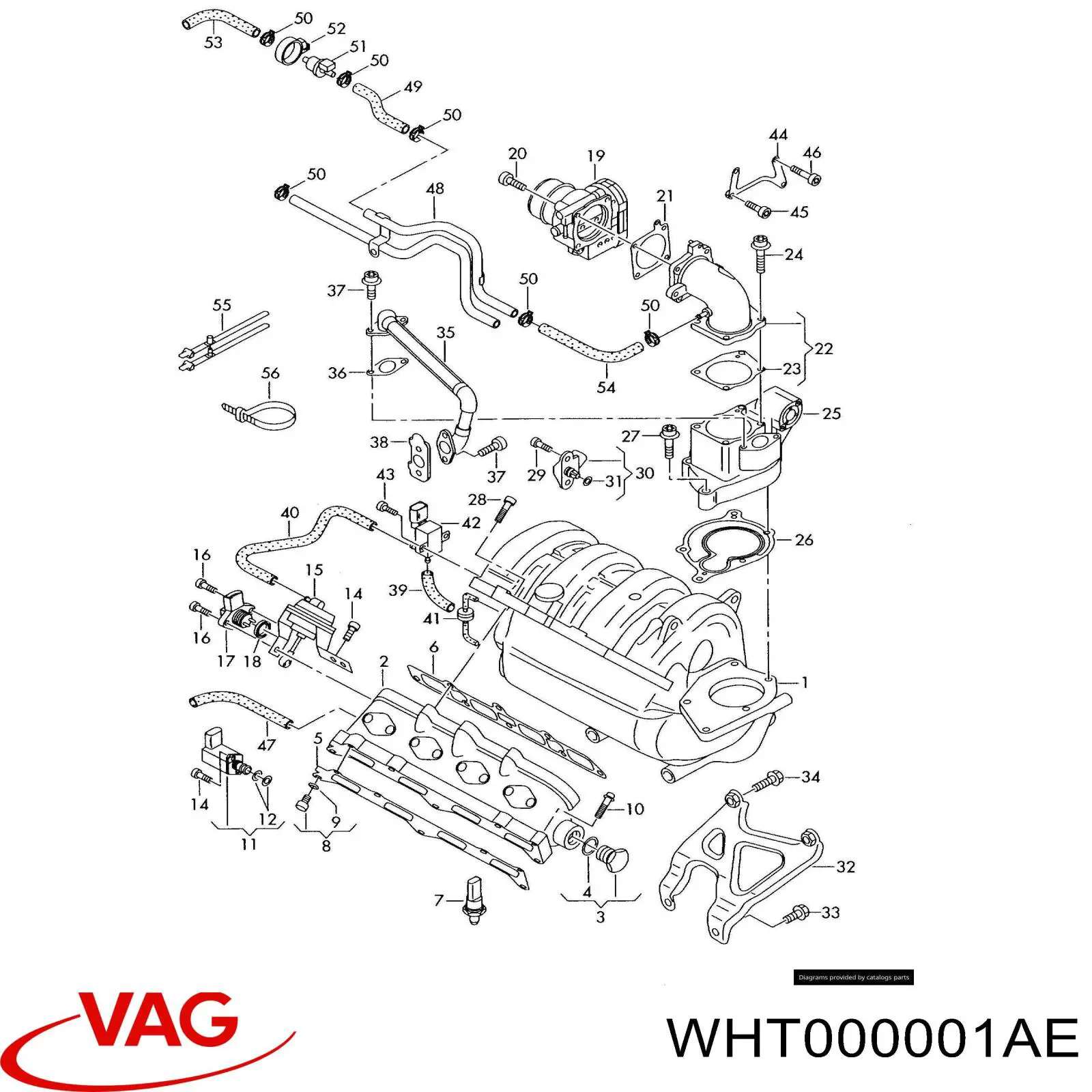 036133696 VAG 