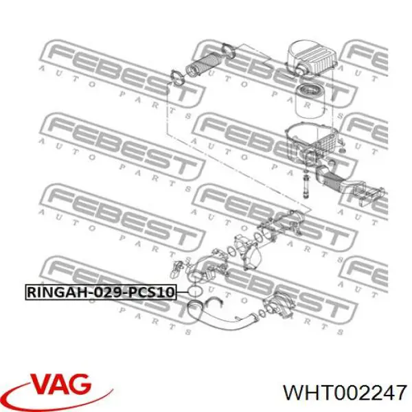 WHT002247 VAG Anel de vedação (vedante) de cano derivado de intercooler