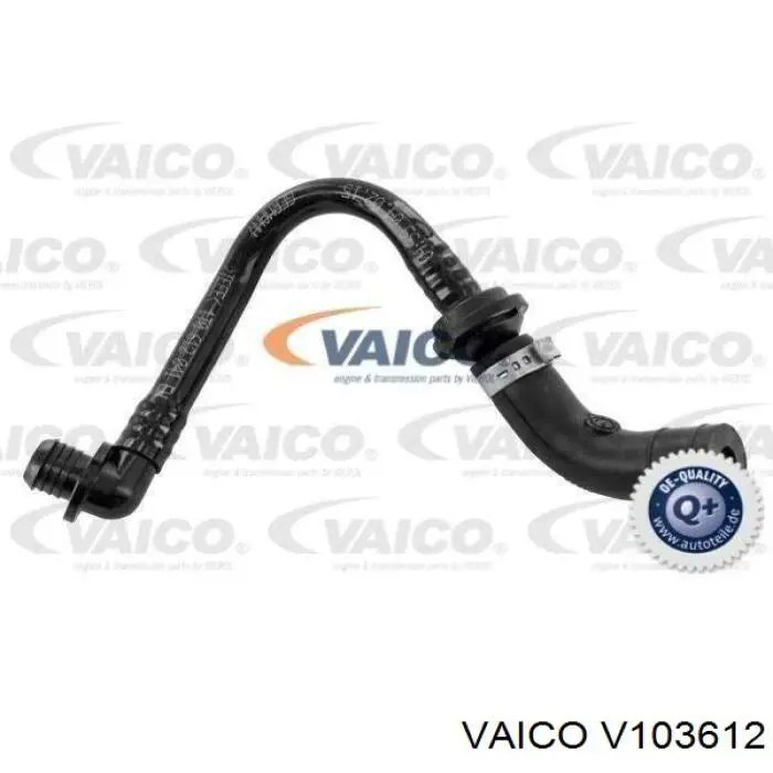 1J0612041EH VAG Mangueira (cano derivado) de bomba de vácuo