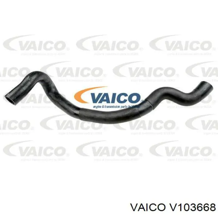 036129061A VAG Válvula (atuador) de acionamento de comporta EGR