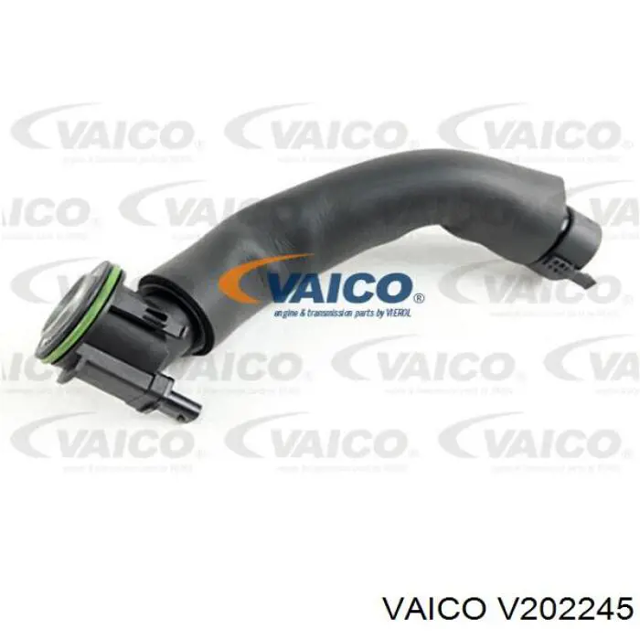 7588417 BMW Cano derivado de ventilação de cárter (de separador de óleo)