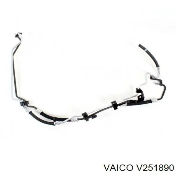 Compre V251890 VEMO/Vaico Mangueira da Direção hidrâulica assistida de pressão alta desde a bomba até a régua (do mecanismo)