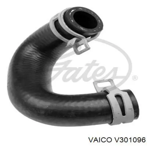 Compre A6512000882 Mercedes Mangueira (cano derivado) de radiador EGR, linha de combustível de retorno