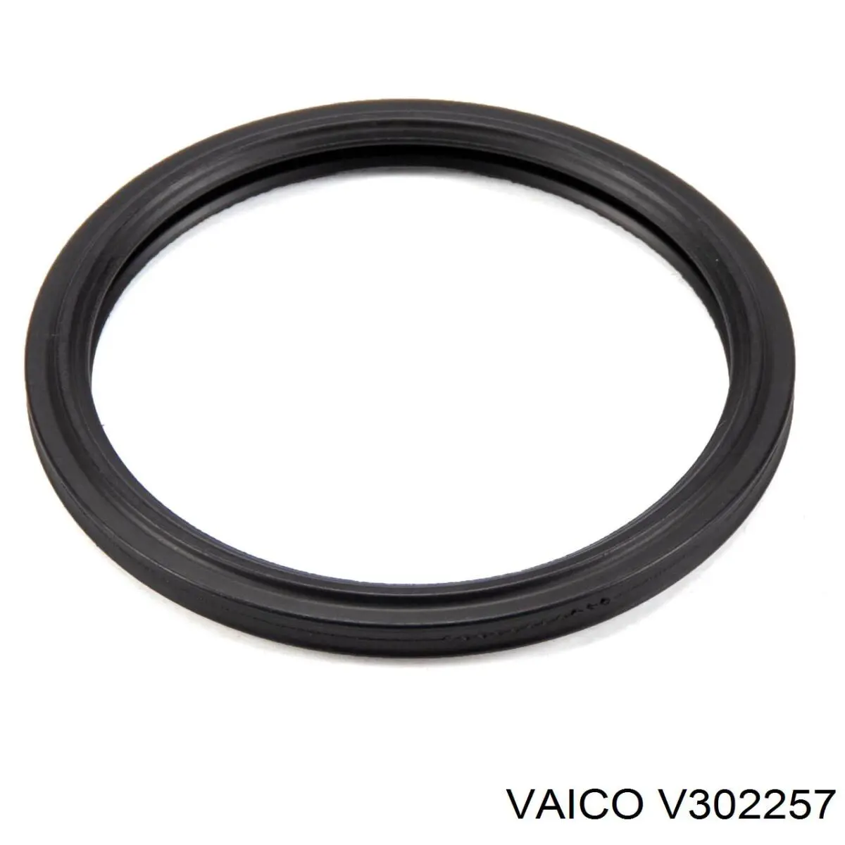 Compre 1051080011 Tcmatic Kit de serviço para a substituição de óleo na Caixa Automática de Mudança
