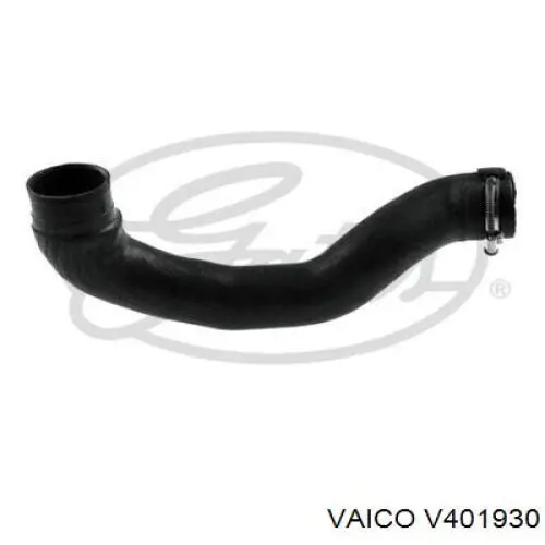Compre 6302608 Opel Mangueira (cano derivado) de intercooler