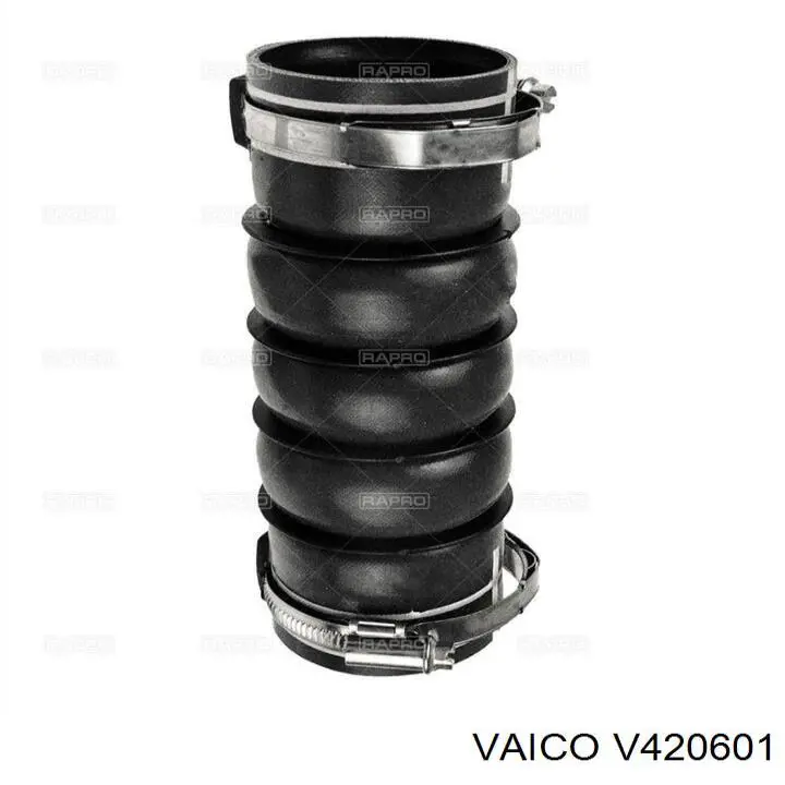 Compre 00000382NL Peugeot/Citroen Mangueira (cano derivado) de intercooler