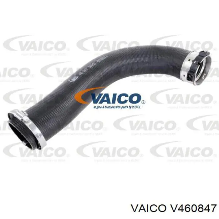 Mangueira (cano derivado) de intercooler R8200730589 Wender