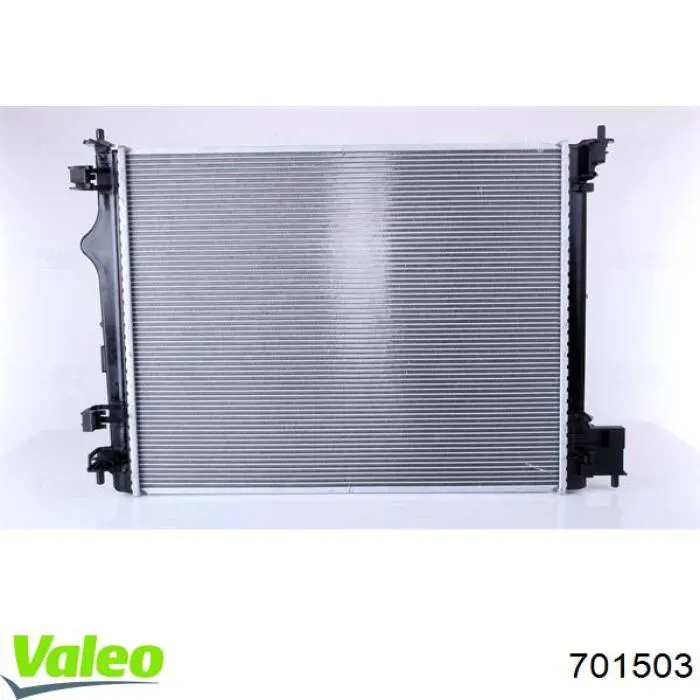 Radiador de esfriamento de motor 214104EB0B Renault (RVI)